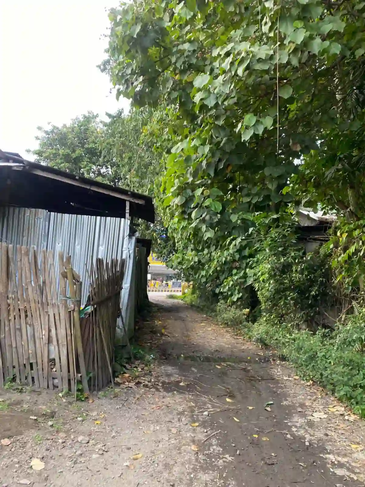 For Sale: Poblacion Commercial Lot in Polomolok — Investor-Friendly 423 sqm — Commercial Lot in Poblacion, Polomolok, South Cotabato — Photo 3