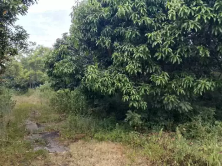 For Sale: 2844sqm Residential Lot in Diversion Road - photo 2