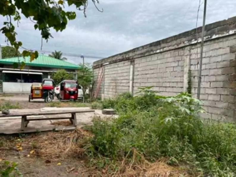 100 sqm Residential Lot for Sale in Brgy. San Isidro, General Santos City, SOCSARGEN, South Cotabato - photo 3