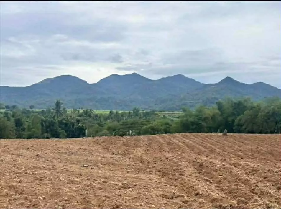 For Sale: Agricultural Lot Near Twin Lakes, Magallanes — 3.2 Hectares — Agricultural Lot in Magallanes, Cavite, 4113 — Photo 2