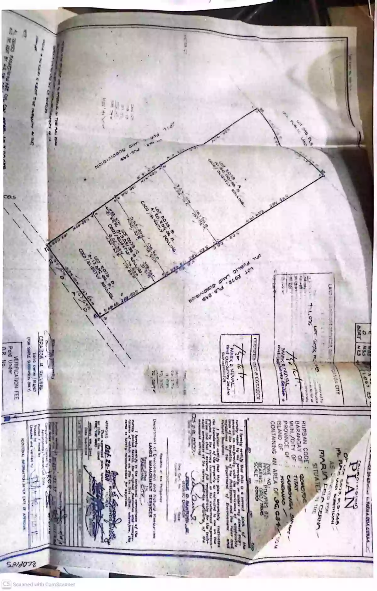 For Sale: Agricultural Lot Near Zamboanga Sibugay — 518m Road Frontage — Agricultural Lot in Domandan, Ipil, Zamboanga Sibugay — Photo 6