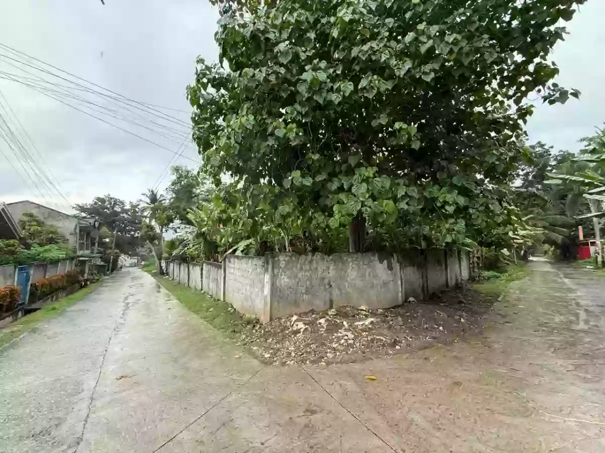 545 sqm Residential Lot for Sale in Tipanoy (repriced)