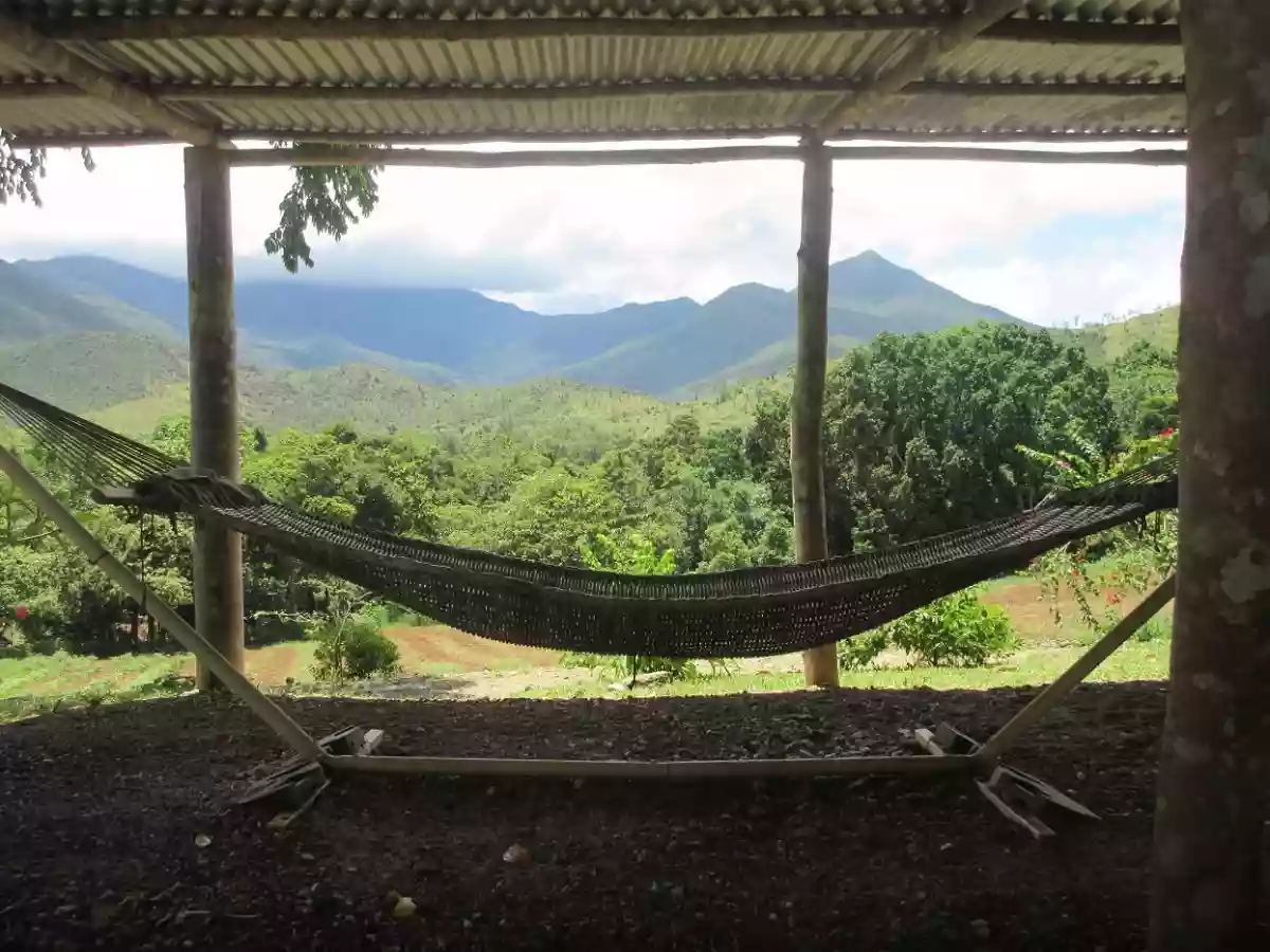 RARE OPPORTUNITY TO BUY A “TURNKEY” INVESTMENT PROPERTY APPROXIMATELY 8 HECTARES / 2 CLEAN TITLES — Agricultural Lot in Puerto Princesa City, Palawan, 5300 — Photo 4
