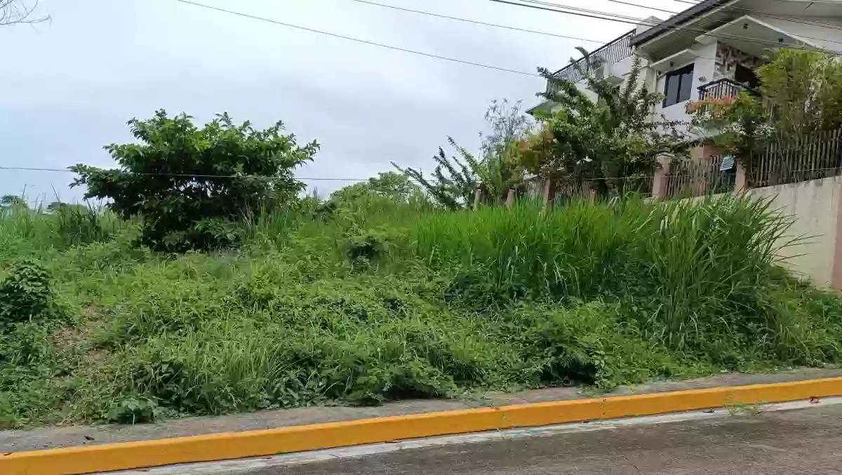 šæ Prime Residential Lot for Sale ā Pacific Heights Subdivision, Pardo, Cebu City