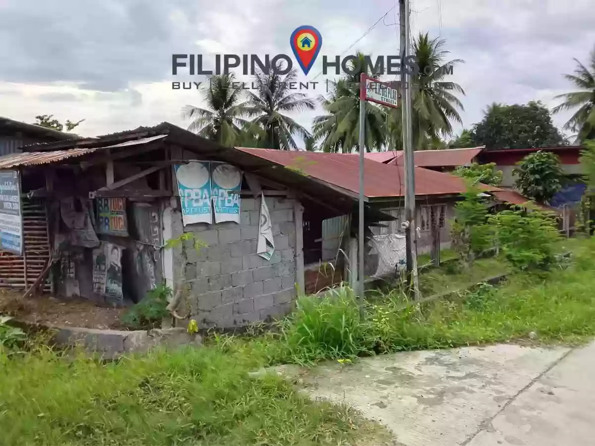Commercial Space for Sale in Poblacion II, Pigkawayan — 352 sqm Investment — Space in Pigkawayan, Cotabato, 9412 — Photo 4