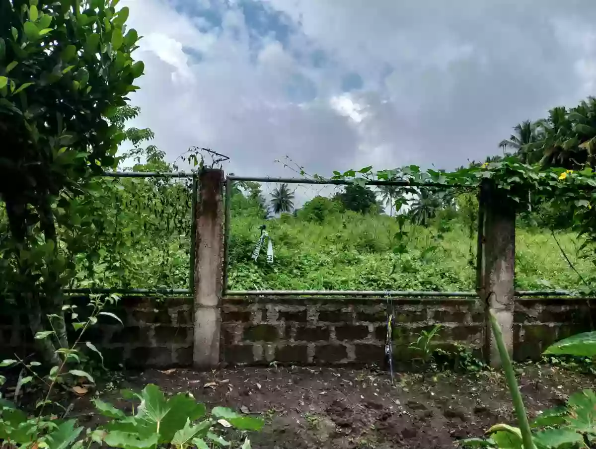 For Sale: 20000 sqm Agricultural Lot in Pagalungan, Polomolok — Agricultural Lot in Polomolok, South Cotabato, 9504 — Photo 7