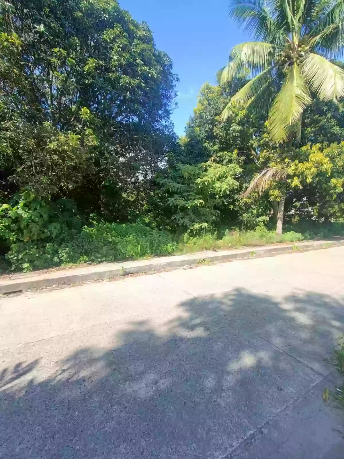 Prime Lot for Sale in Banilad, Dumaguete City π‘ β Residential Lot in Dumaguete City, Negros Oriental, 6200 β Photo 2