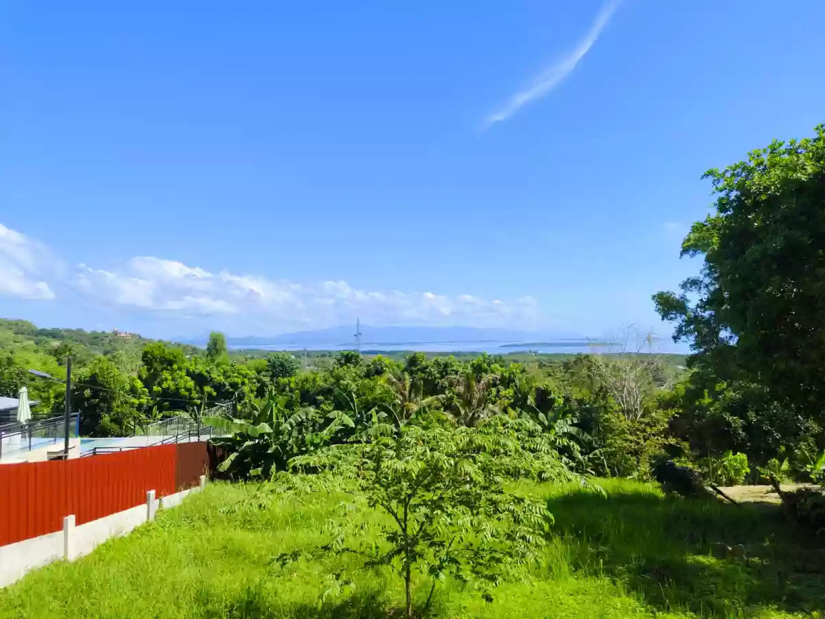 FOR SALE: 1,736 sqm Residential Lot in Santa Lourdes, Puerto Princesa City