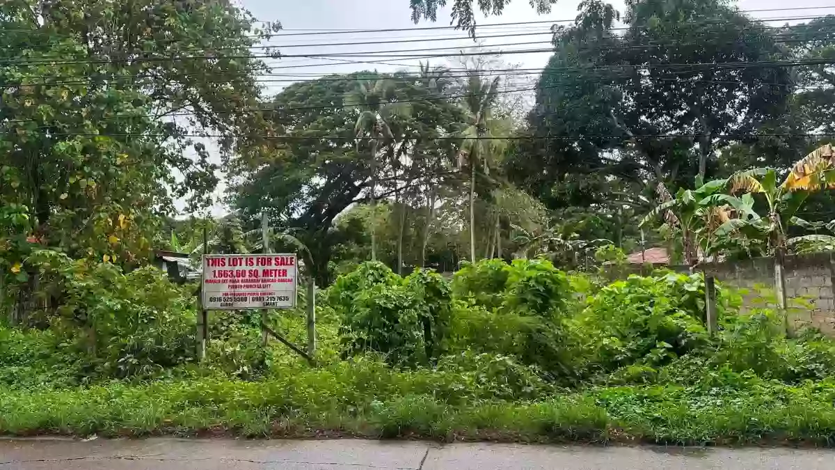 For Sale: Residential Lot in Bancao-Bancao, Puerto Princesa City — Residential Lot in Bancao-bancao, Puerto Princesa City, Palawan — Photo 4
