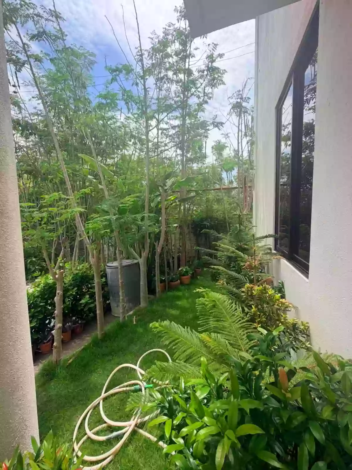 Rush Sale | Brand New Fully Furnished Single-Detached House with Swimming Pool in Cordova, Cebu — House and Lot in Cordova, Cebu, 6017 — Photo 6