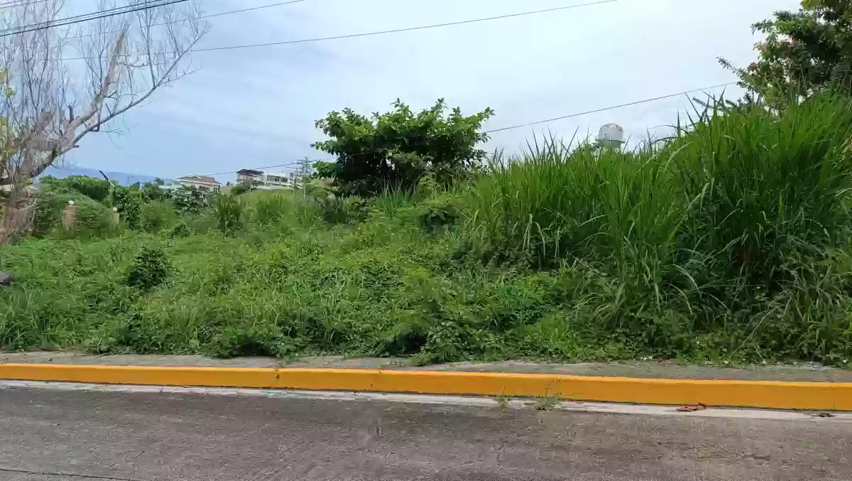 🌿 Prime Residential Lot for Sale – Pacific Heights Subdivision, Pardo, Cebu City — Residential Lot in Basak Pardo, Cebu City, Cebu — Photo 6
