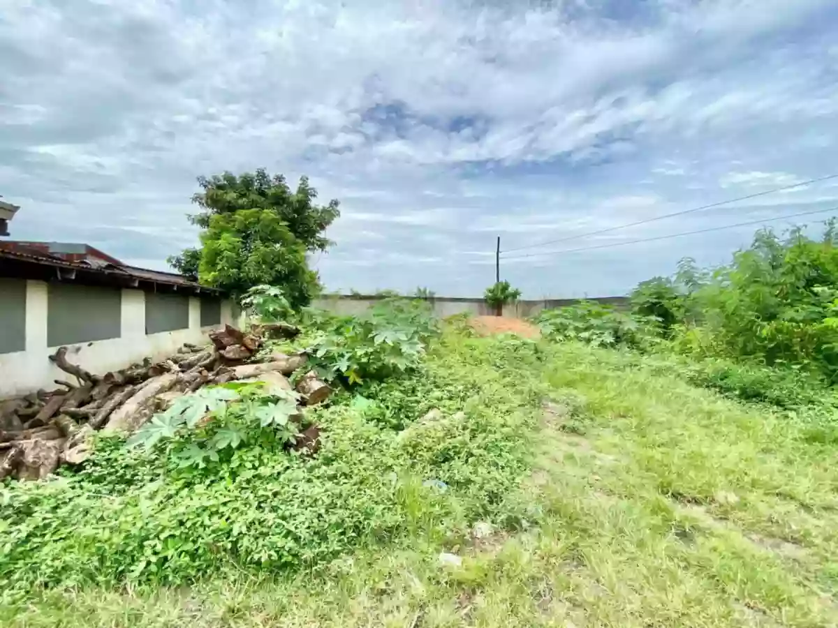 Open photo 17 of 23 — For Sale: Industrial Lot in Telapayong, Arayat — 3250 sqm
