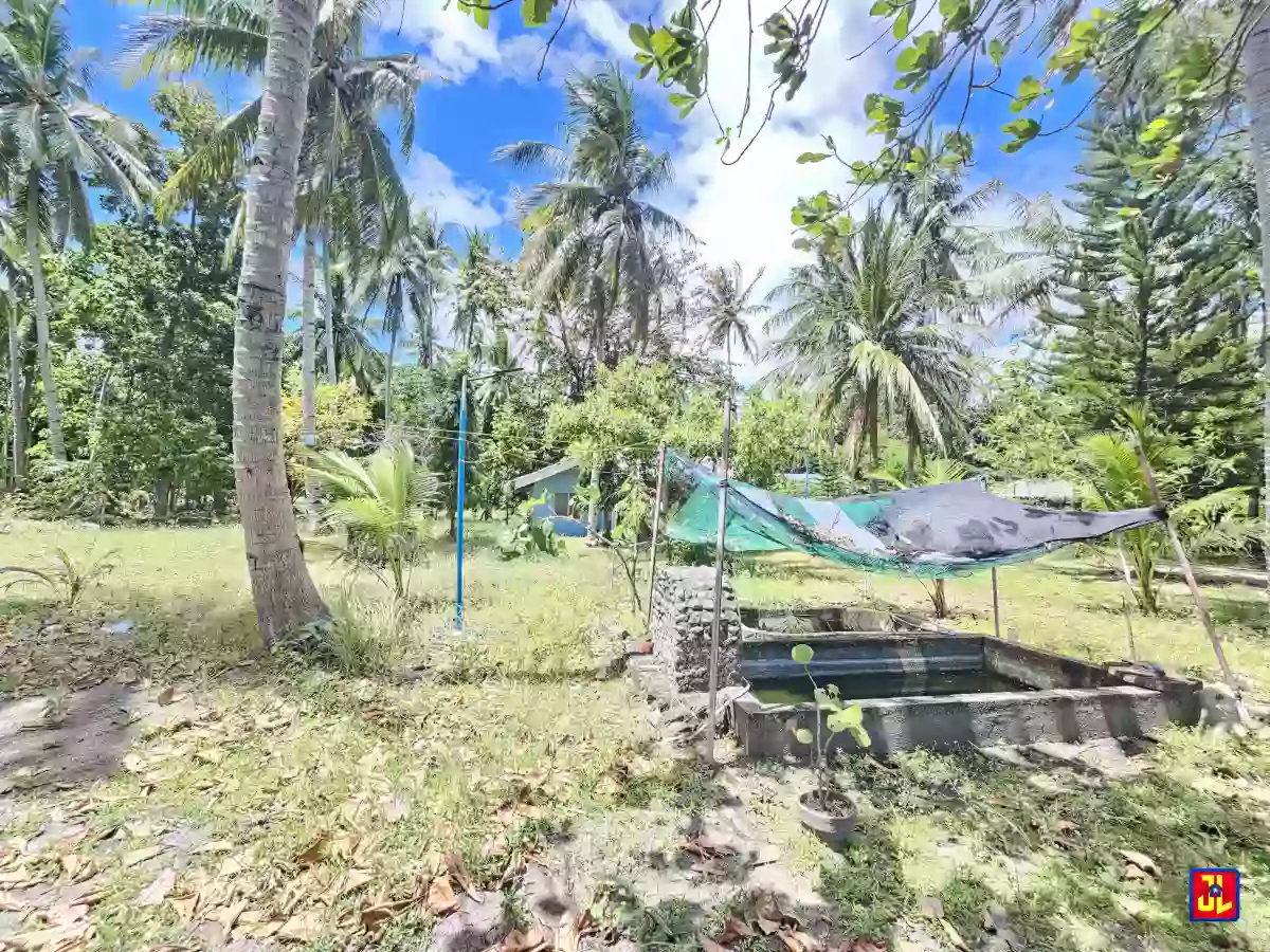 Rush Sale 28,265sqm Beach Lot in Maayongtubig, Dauin, Negros Oriental [available] — Beach Lot in Dauin, Negros Oriental, 6217 — Photo 3