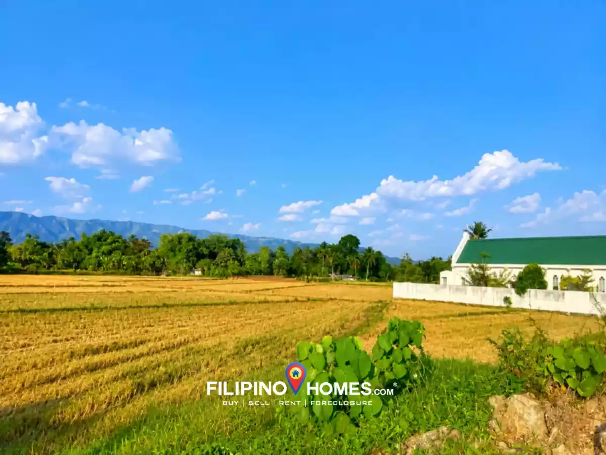 For Sale: Agricultural Lot in Baguer, Libungan — 39357 sqm