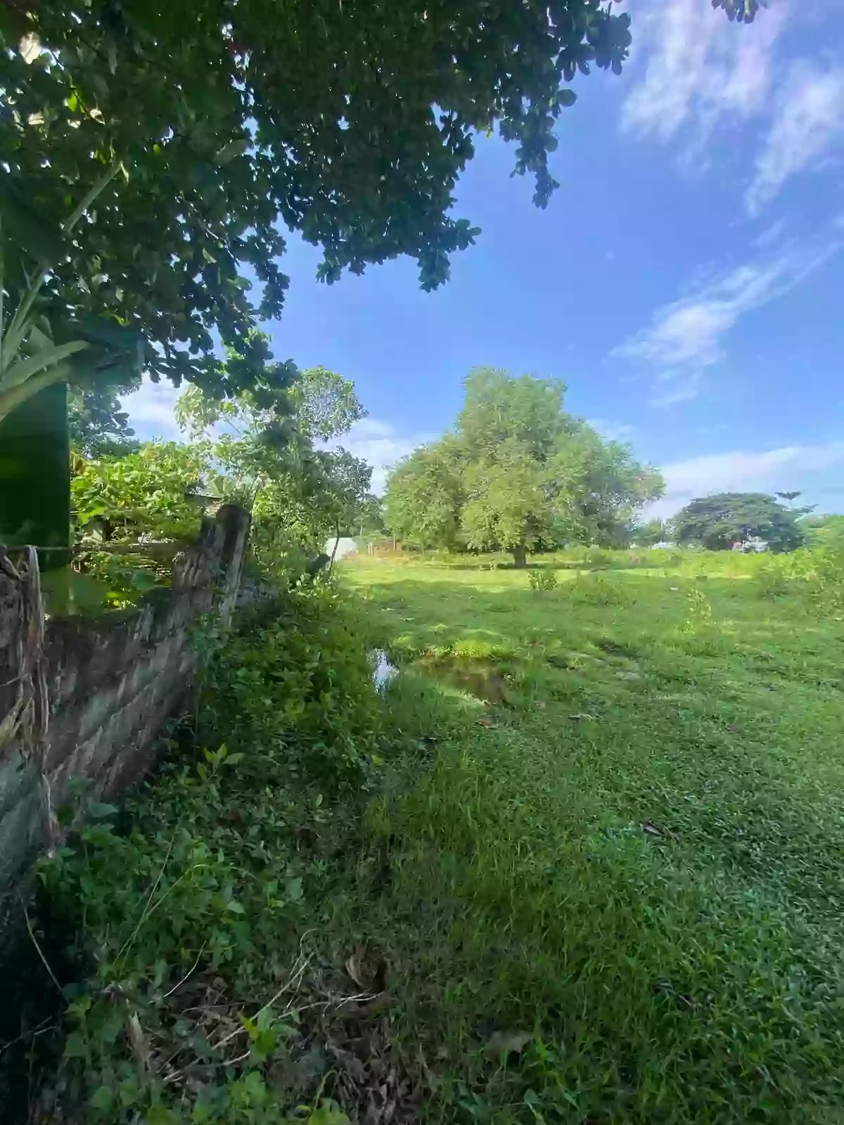 Rush Sale: 2000 sqm Agricultural Lot in Indangan, Davao City — Agricultural Lot in Indangan, Davao City, Davao del Sur — Photo 5