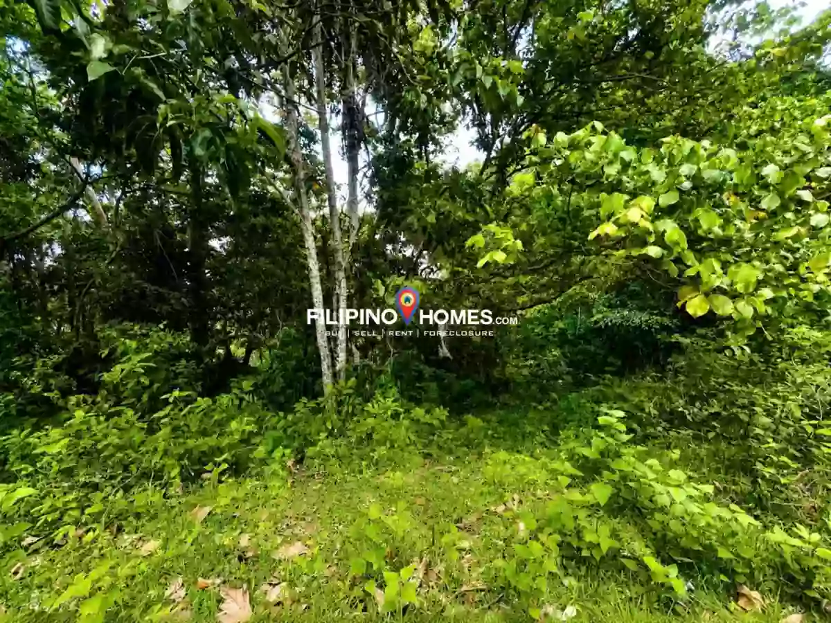 For Sale: Agricultural Lot in Kimarayang, Pigkawayan — 13112 sqm — Agricultural Lot in Kimarayang, Pigkawayan, Cotabato — Photo 2