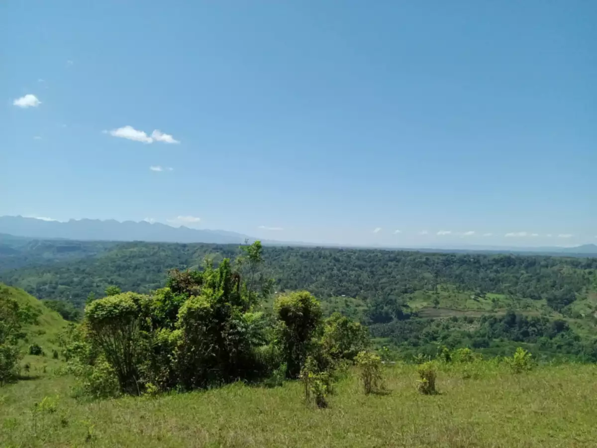 Agricultural Land For Sale!!