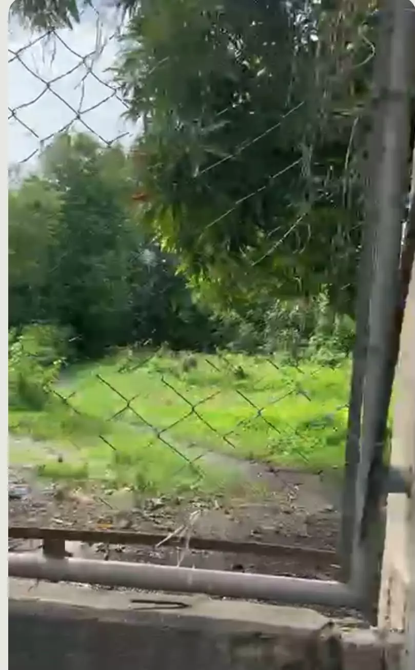 Commercial Lot For Sale 2,000 sqm. — Commercial Lot in Plaridel, Bulacan, 3004 — Photo 7