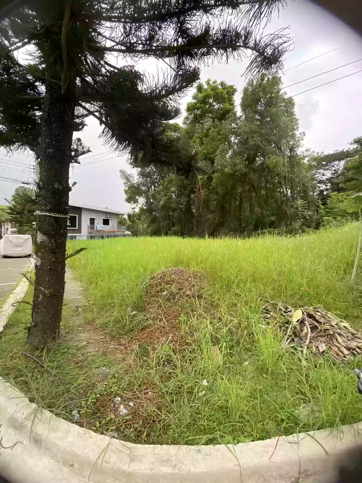 For Sale: Residential Lot 280 sqm at La Mirande Subdivision in Lumbia, Cagayan de Oro City — Residential Lot in Lumbia, Cagayan de Oro City, Misamis Oriental — Photo 4
