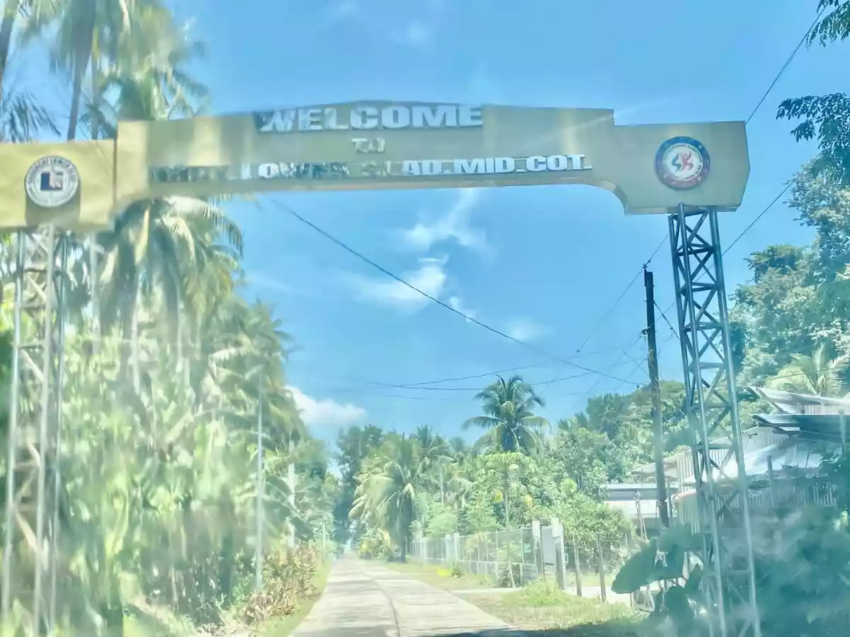 For Sale: Agricultural Lot in Lower Glad, Midsayap — 20005 sqm — Agricultural Lot in Midsayap, Cotabato, 9410 — Photo 2