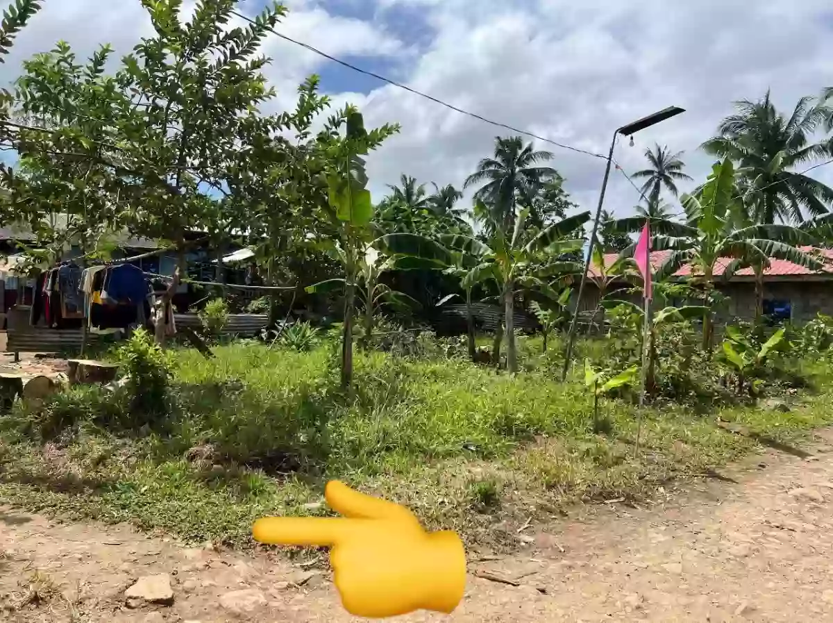 For Sale: Residential Lot in San Juan, Alegria — 100 sqm — Residential Lot in Alegria, Surigao del Norte, 8425 — Photo 2