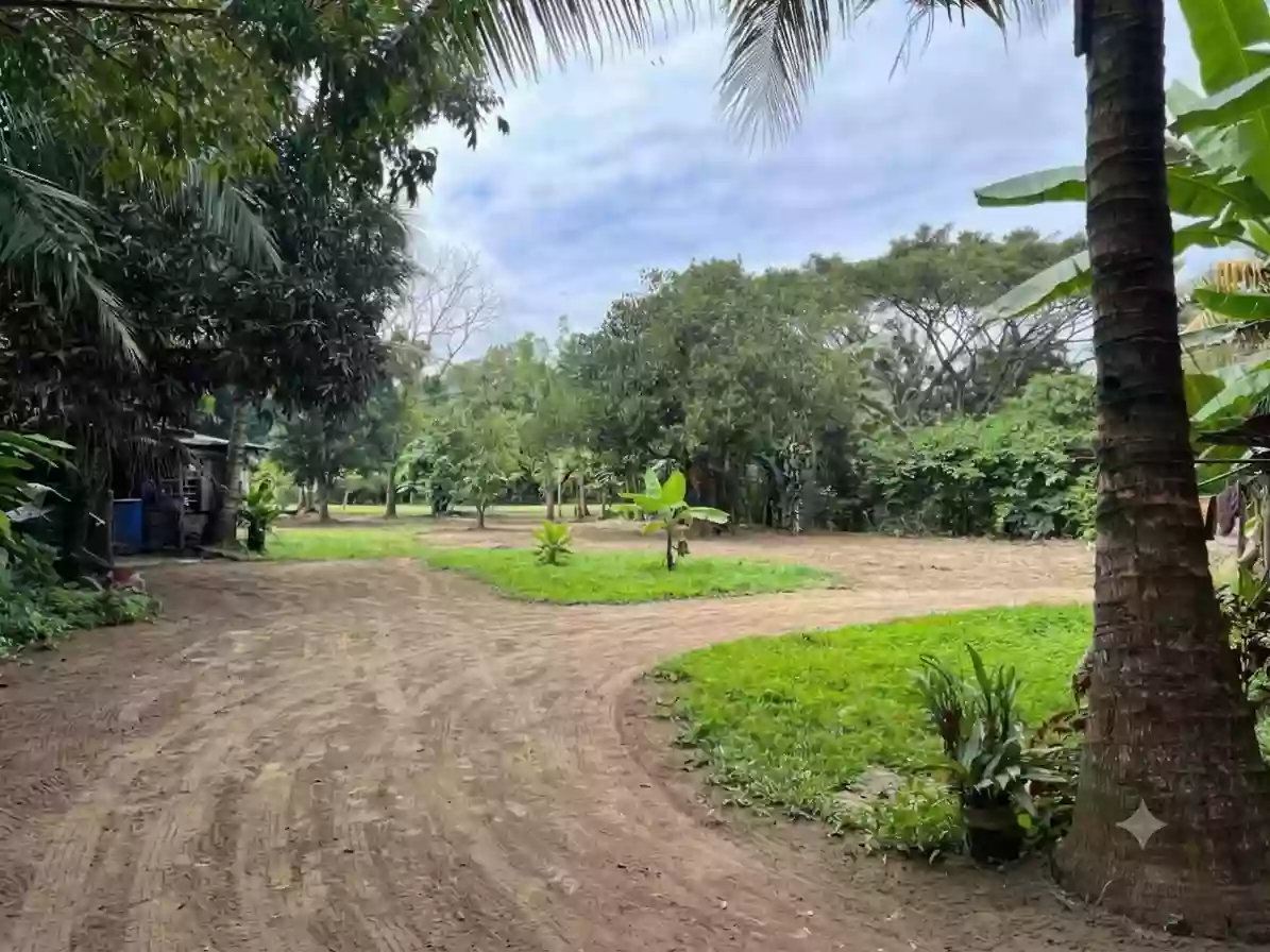 For Sale: Agricultural Lot in Lalaan I, Silang — 1,000 sqm