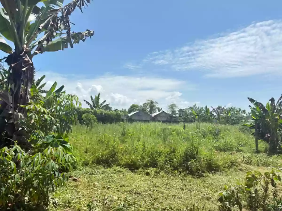 Residential Lot for Sale Near Malaybalay City Tree Park, Malaybalay — San Jose — Residential Lot in Malaybalay, Bukidnon, 8700 — Photo 3