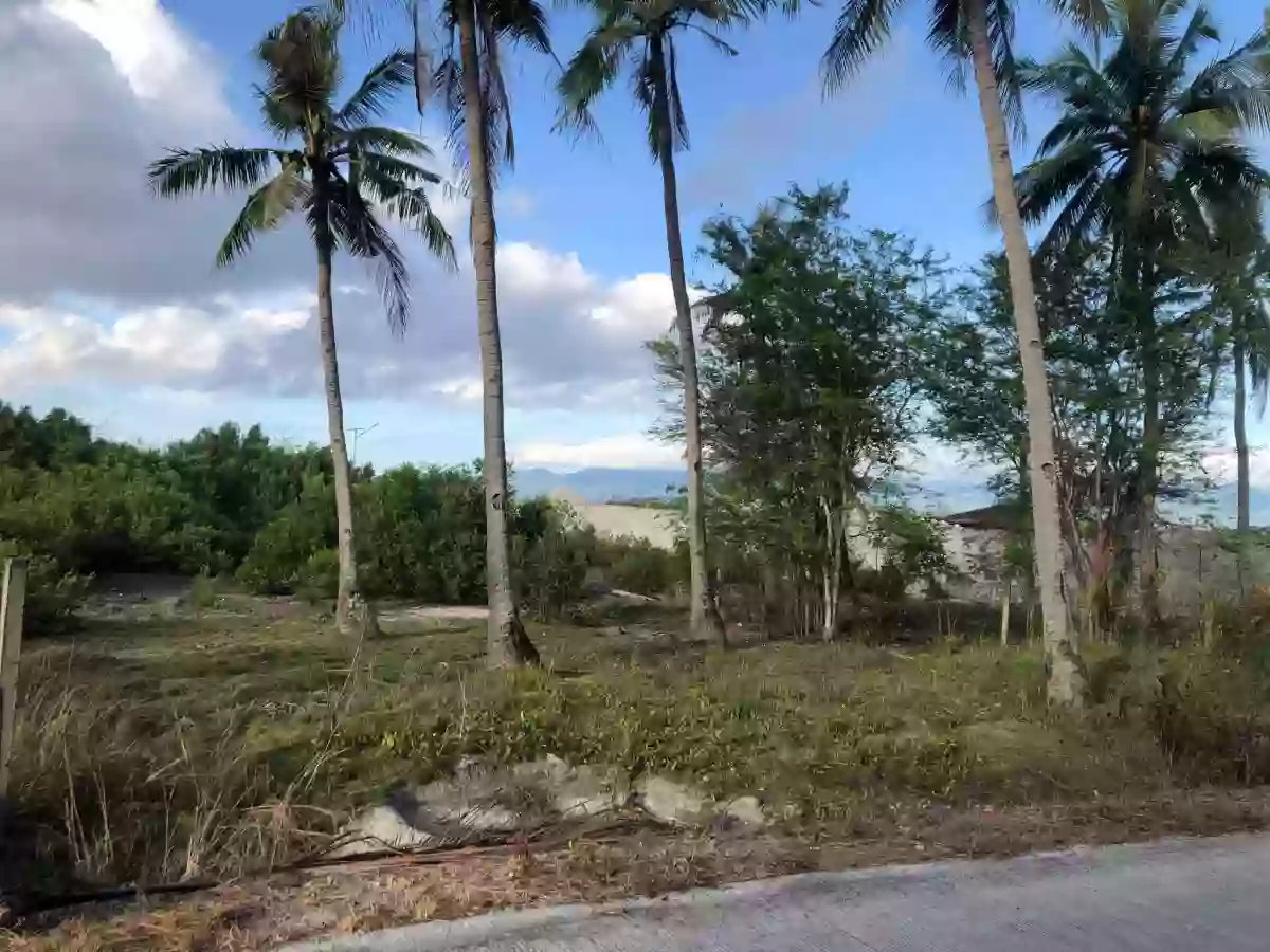 Titled Beach Lot in Santander Cebu — Beach Lot in Santander, Cebu, 6026 — Photo 5