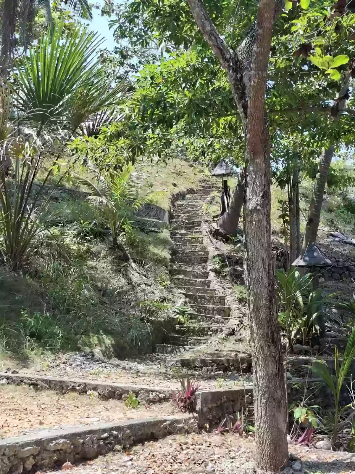The Next Luxury Cliffside Resort Destination in Northern Cebu- Tabogon — Beach Lot in Camoboan, Tabogon, Cebu — Photo 5
