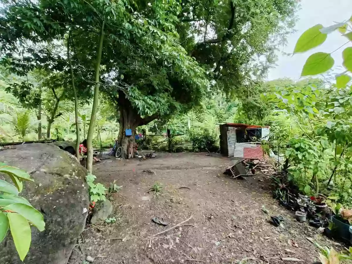 East Ridge Village east parcel of land — Commercial Lot in Pag-Asa, Binangonan, Rizal — Photo 5