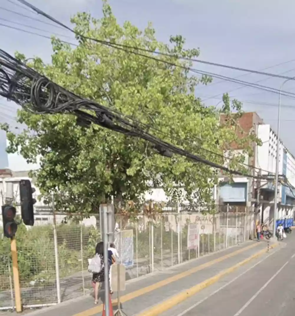 For Sale: Commercial Lot Near Basilica Minore del Sto. Niño, Cebu City — Commercial Lot in Cebu City, Cebu, 6000 — Photo 3