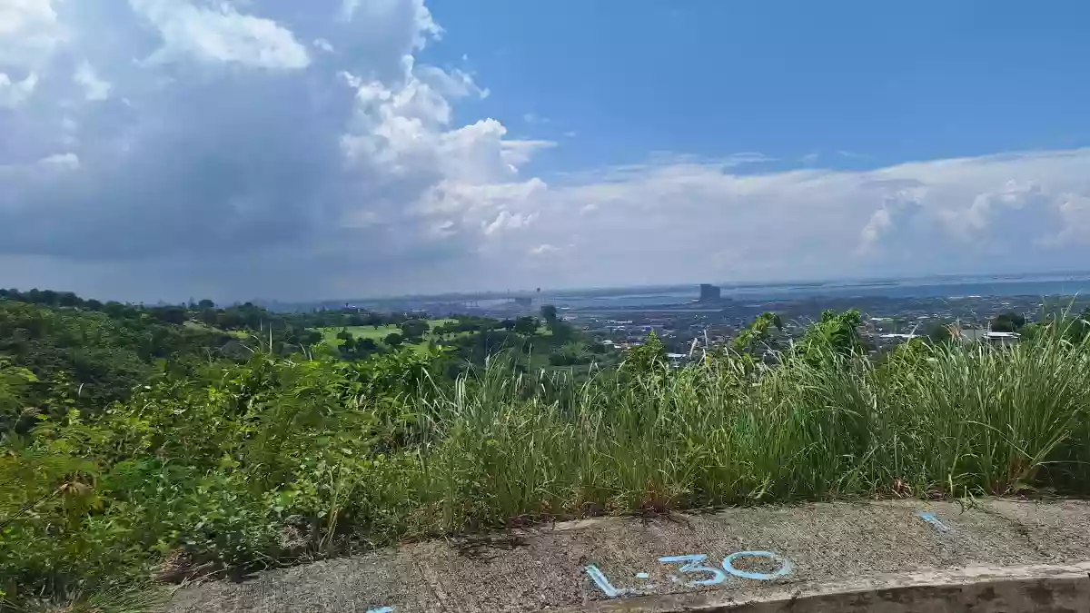 Vista Grande LOT ONLY — Residential Lot in Bulacao, Talisay City, Cebu — Photo 2