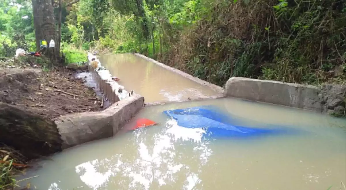Agricultural Lot for Sale in Calabnugan, Sibulan — 2595 sqm — Agricultural Lot in Sibulan, Negros Oriental, 6201 — Photo 5