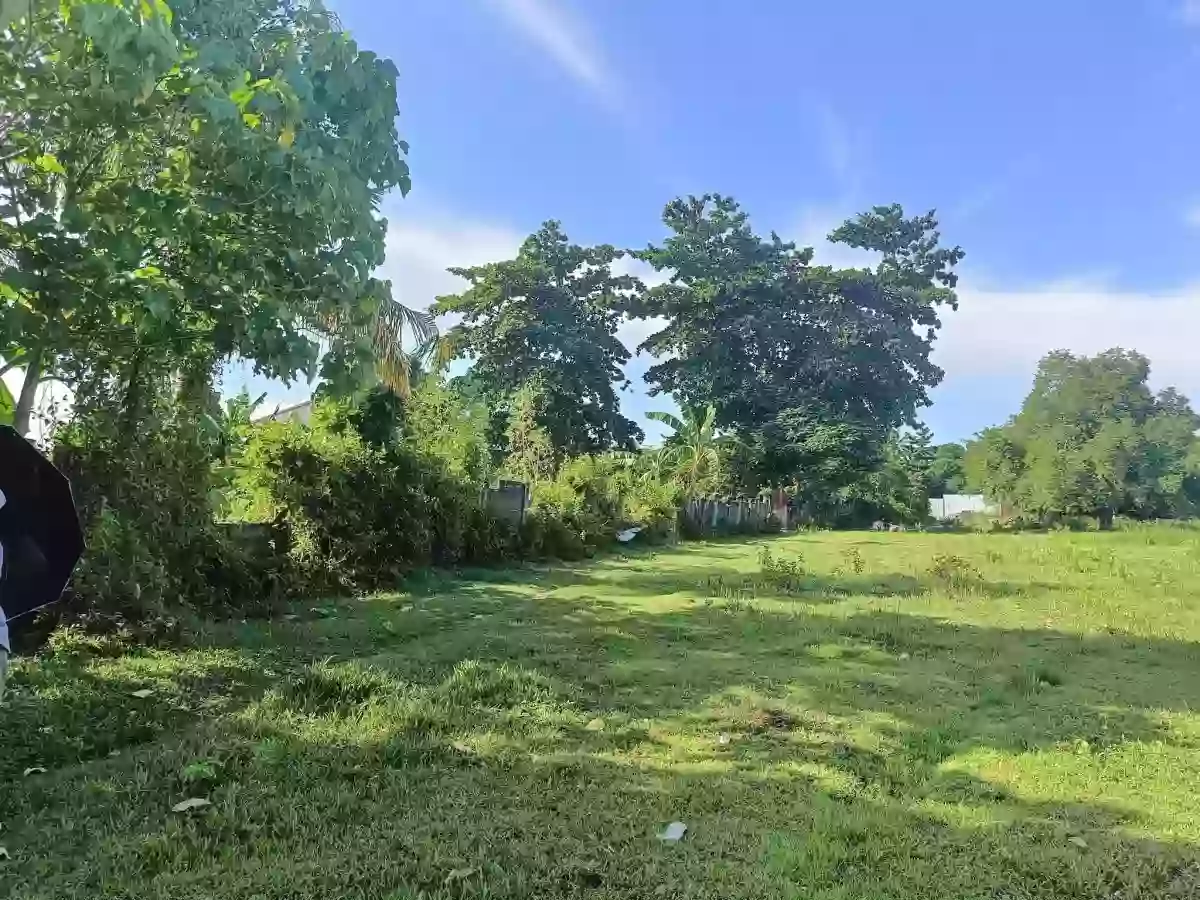 2,000 SQM Prime Industrial Lot for Sale Malagamot Road, Indangan, Buhangin District, Davao City — Industrial Lot in Indangan, Davao City, Davao del Sur — Photo 3