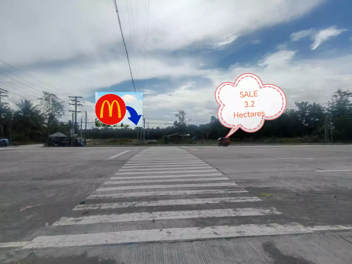 For Sale: Commercial Lot in Katangawan, Gen. Santos City 32000 sqm