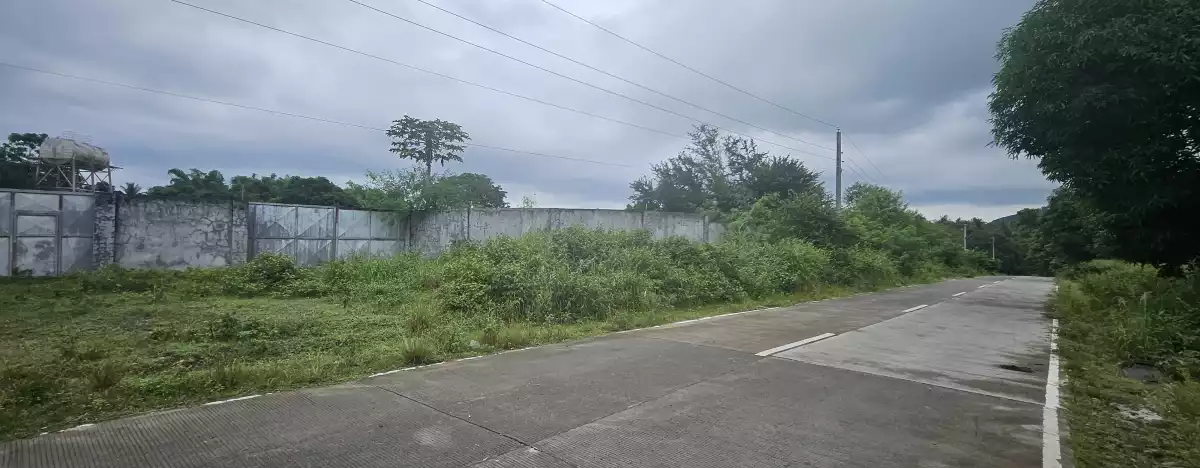 Open photo 12 of 12 — For Sale Farm Lot -Purok 8 Tinagacan, Gen. Santos City — Gated and Cemented Road
