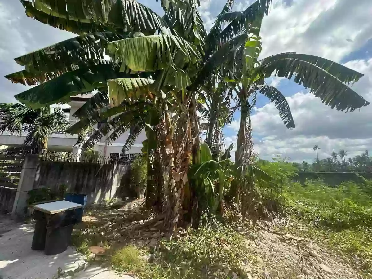 For Sale Residential Lot in Pooc, Talisay City — 328 sqm — Residential Lot in Cebu, 6045, Philippines — Photo 4