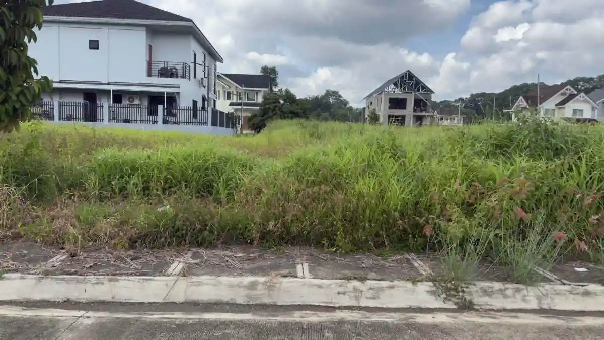 FOR SALE: Residential Lot in Damilag, Manolo Fortich — 298 sqm — Residential Lot in Damilag, Manolo Fortich, Bukidnon — Photo 5