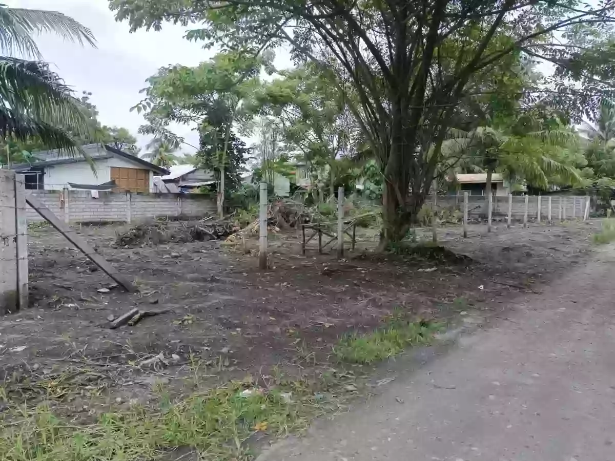 For Sale: 203 sqm Residential Lot Near All Homes, Diversion Road, Katangawan, General Santos City — Residential Lot in Katangawan, General Santos City, South Cotabato — Photo 5