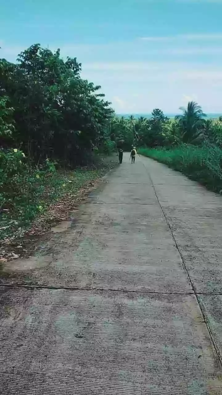 For Sale: Farm Lot in Brgy. Simpocan, Puerto Princesa City —450 per sqm sqm — Agricultural Lot in Simpocan, Puerto Princesa City, Palawan — Photo 7