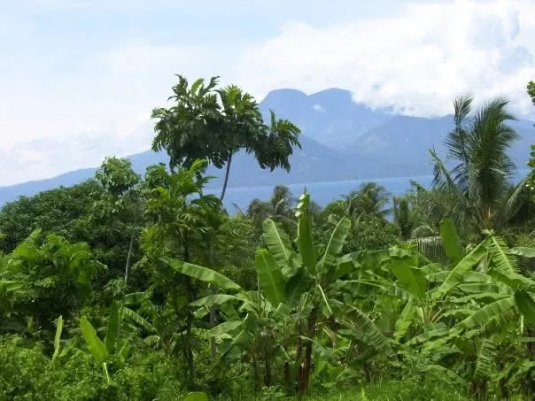 For Sale: 400 sqm Agricultural Lot in Balinguan, Misamis Oriental — Agricultural Lot in Balinguan, Misamis Oriental, 9011 — Photo 2