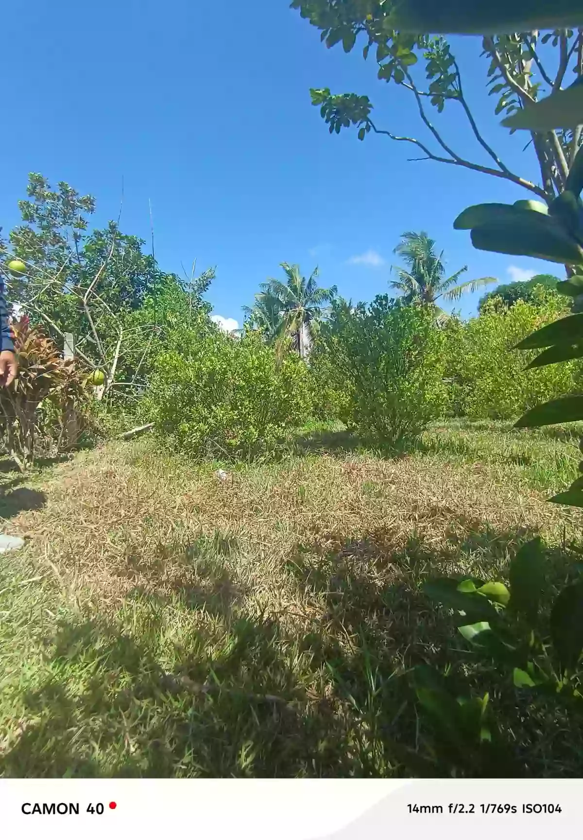 For Sale: Residential Lot in Camanjac, Dumaguete City — 1534 sqm — Residential Lot in Dumaguete City, Negros Oriental, 6200 — Photo 3