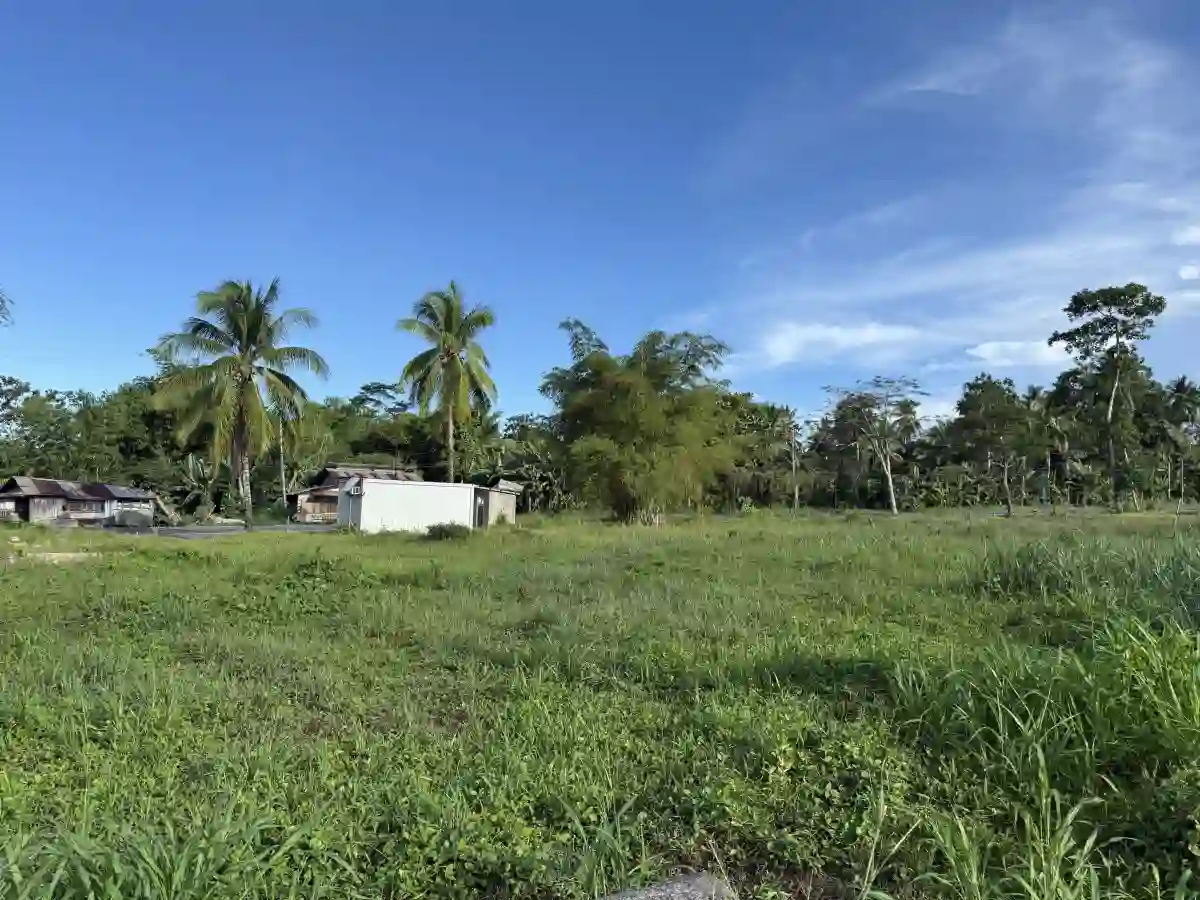 For Sale: Commercial Lot in Mabini, Placer — 3135.48 sqm — Commercial Lot in Placer, Surigao del Norte, 8405 — Photo 4