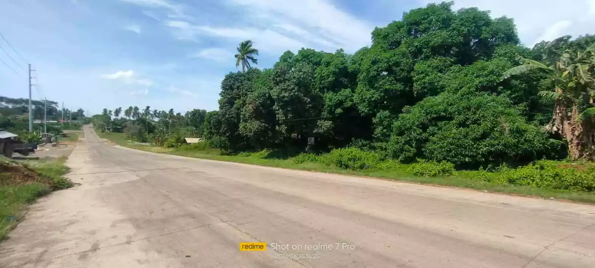 🏢 PRIME COMMERCIAL LOT FOR SALE – LAGUINDINGAN 🏢 — Commercial Lot in Lapad, Laguidingan, Misamis Oriental — Photo 4