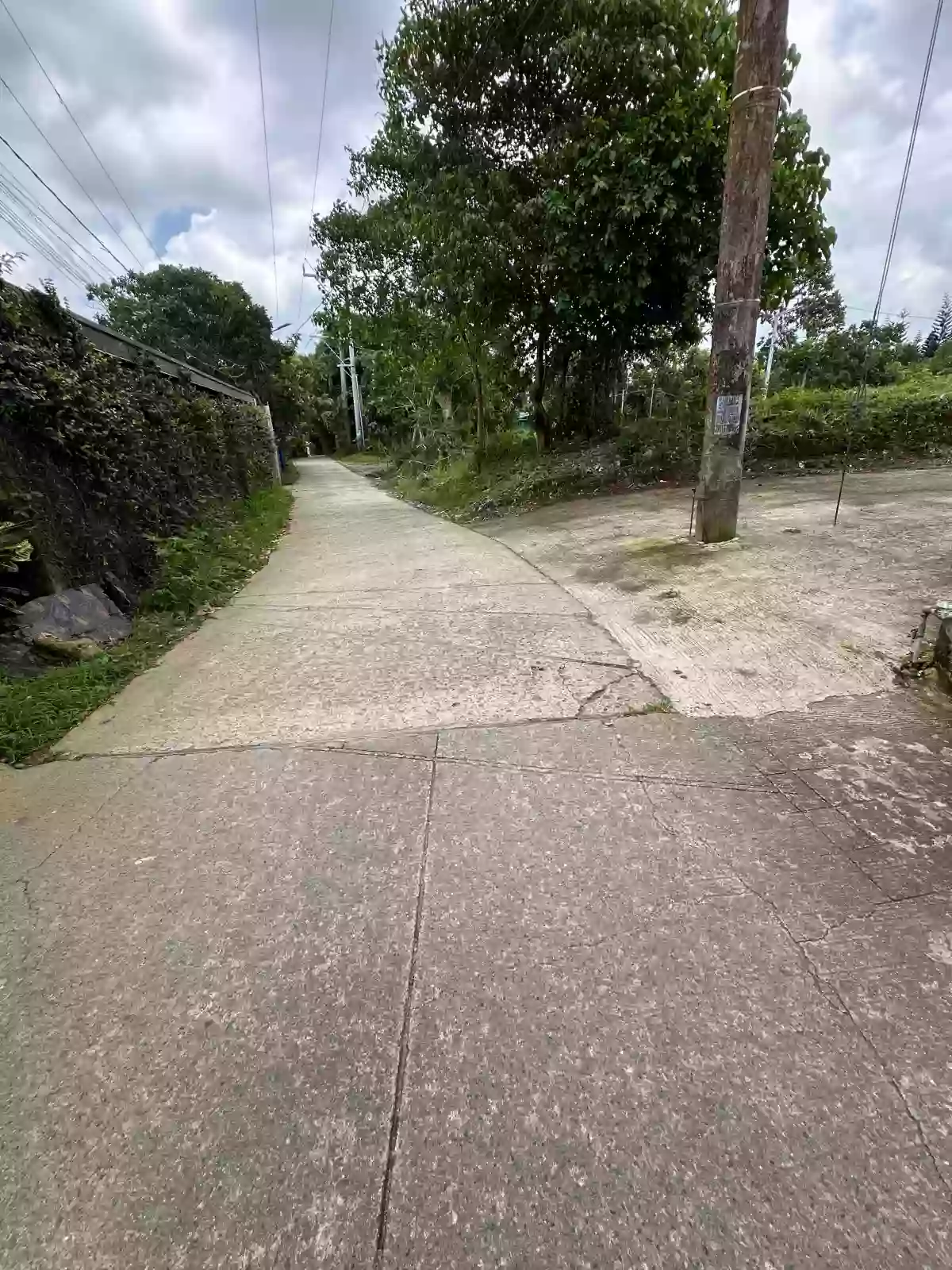For Sale: Pasong Langka Residential Lot in Silang — 500 sqm Investment — Residential Lot in Silang, Cavite, 4118 — Photo 3