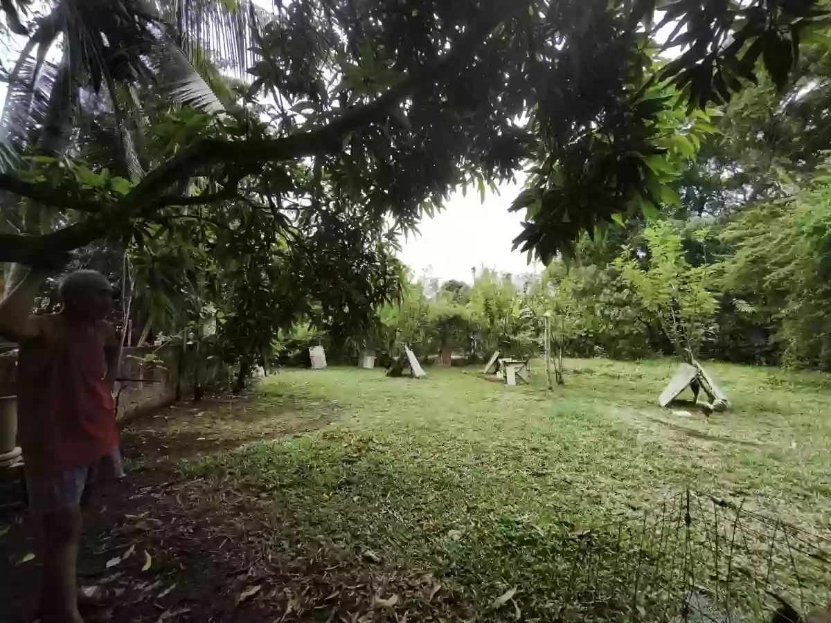 Residential lot for sale in Aganan, Pavia, Iloilo — Residential Lot in Pavia, Iloilo, Balabag — Photo 2