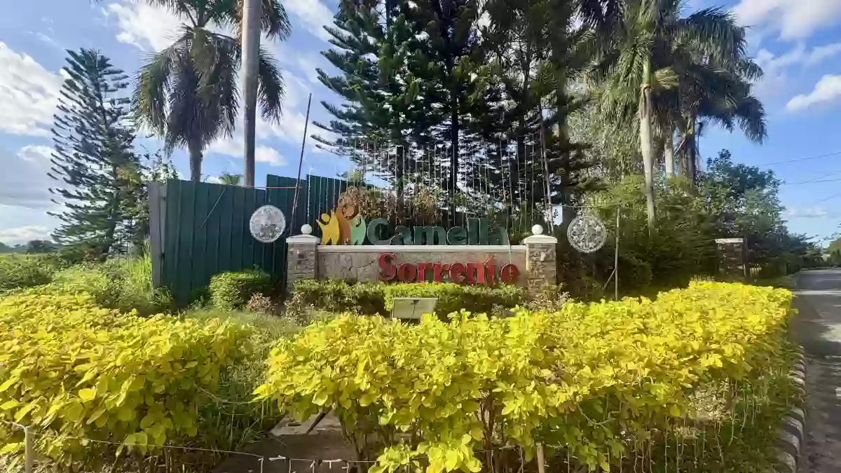 336 sqm Residential Lot For Sale in Panipuan, Mexico, Pampanga — Residential Lot in Mexico, Pampanga, 2021 — Photo 6