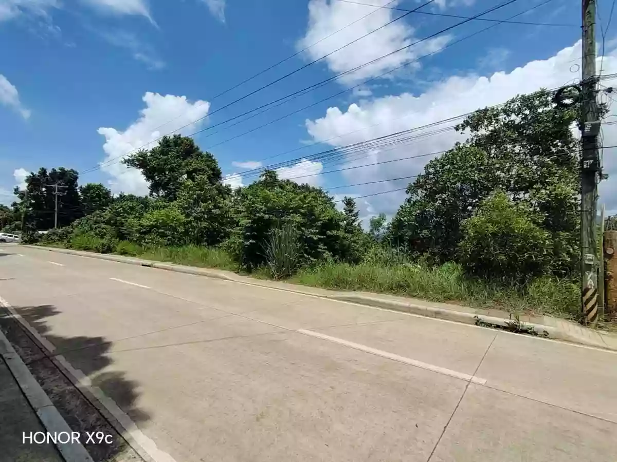 For Sale: Residential Lot in Santa Monica, Puerto Princesa City — 12649 sqm — Residential Lot in Santa Monica, Puerto Princesa City, Palawan — Photo 4