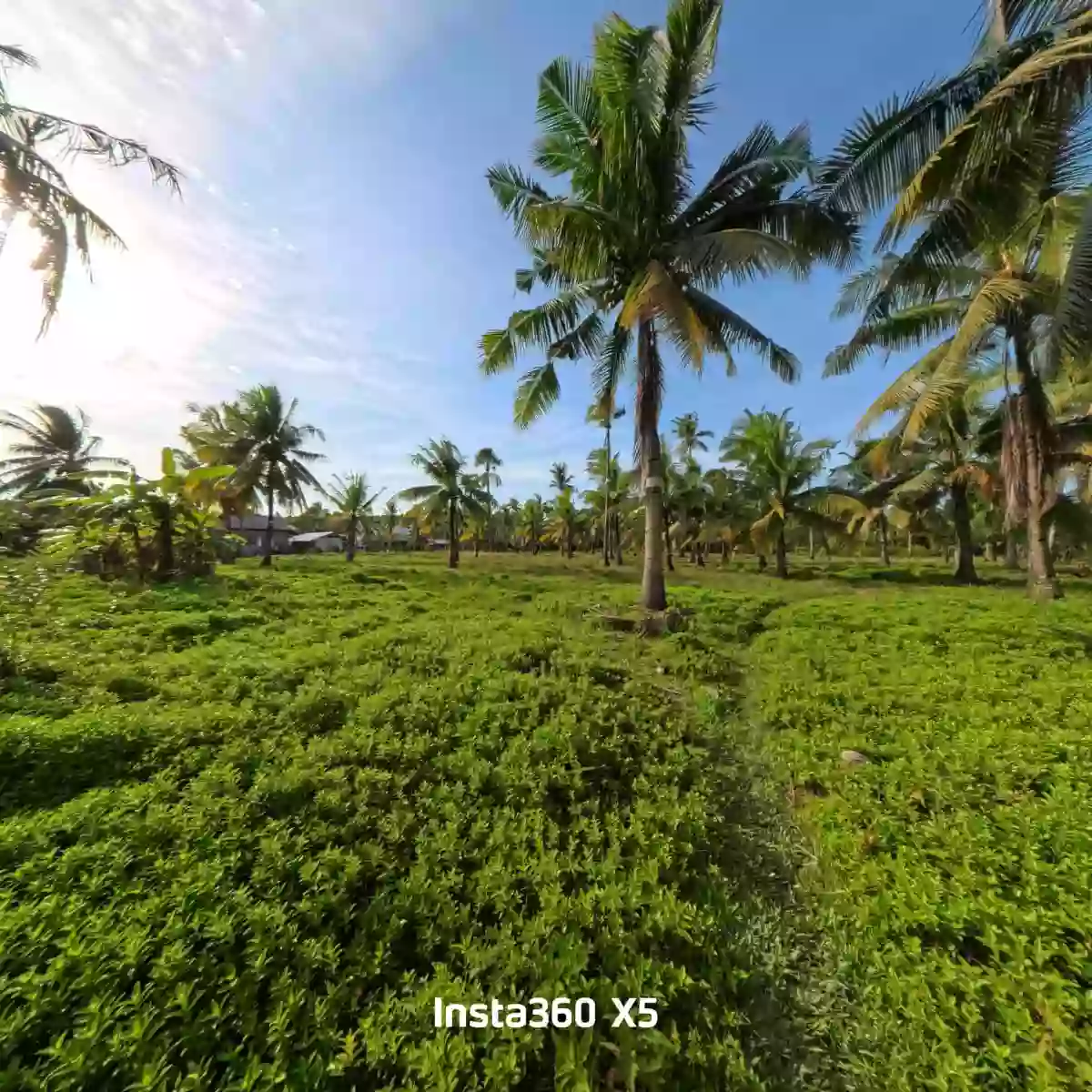 For Sale: Residential Lot Near Tuburan District Hospital, Tuburan — 20000 sqm — Residential Lot in Barangay I (Pob.), Tuburan, Cebu — Photo 5