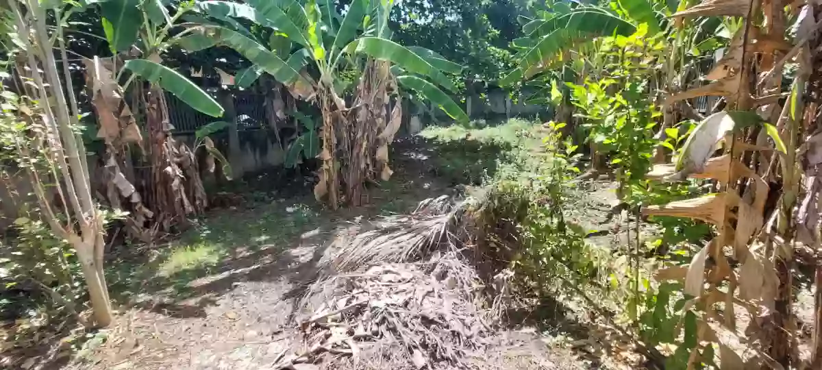 For Sale: 354 sqm lot only in Pit-os Talamban Cebu City — Residential Lot in Pit-os, Cebu City, Cebu — Photo 3